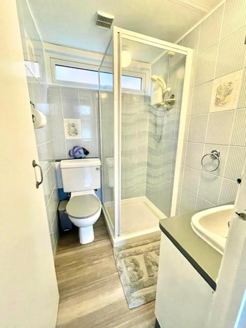 7 Erw Porthor Apartment *